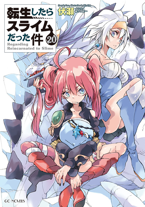 Volume 20